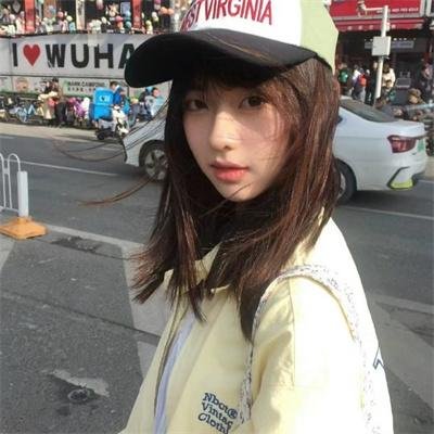 森林之北